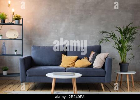 Innen mit Sofa. Grüne Anlage. Modernes Interieur. Stockfoto