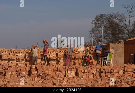 Lalitpur, Nepal. Februar 2020. Arbeiter, die in einer Ziegelei in lalitpur arbeiten.Arbeiter aus verschiedenen Teilen des Landes wie: Birjung, Rukum, Bajhang, Bhairawaha arbeiten in einer lokalen Ziegelfabrik, die Schlamm verwendet, um kleine rechteckige Ziegelsteine am Außenrock des Kathmandu-Tals zu machen. Die Arbeiter verdienen 800-1300 Rupien pro Tag, je nachdem, wie viel sie arbeiten können. Credit: Sopa Images Limited/Alamy Live News Stockfoto