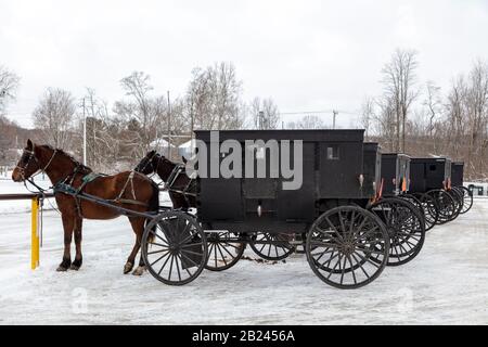 Amish Buggies geparkt im lokalen Lebensmittelgeschäft, Northern Indiana, USA von James D Coppinger/Dembinsky Photo Assoc Stockfoto