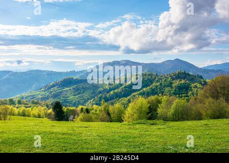 Wunderschöne ländliche Landschaft in den Bergen. Felder und Wiesen auf Hügeln, die sich auf dem fernen Grat befinden. Bäume in frischen grünen Blättern. Naturlandschaft auf einem Stockfoto