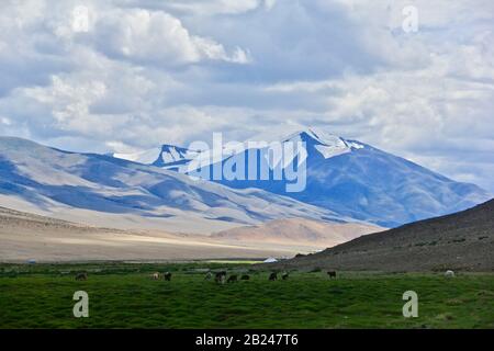 Tsambagarav Mountaon der mongolia Stockfoto