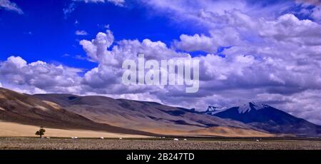 Tsambagarav Mountaon der mongolia Stockfoto