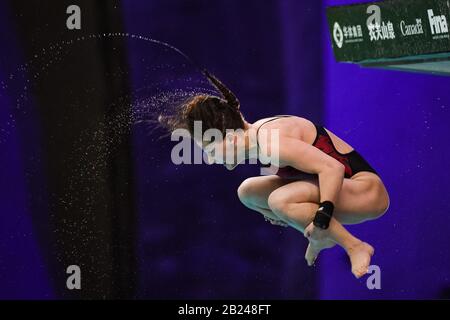 Montreal, Quebec, Kanada. 29. Februar 2020: Caelis McKay (CAN) taucht während des 10-m-Plattform-Halbfinales der FINA Diving World Series Frauen im Olympiastadion von David Kirouac/CSM Stockfoto