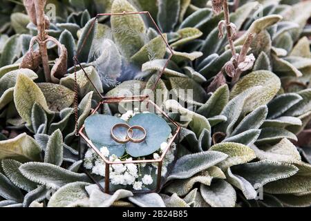 Zwei Hochzeitsringe für das Brautpaar liegen in einer Glaskiste Stockfoto