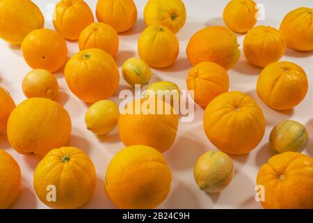Orangen und Zitronen auf weißem Hintergrund. Frische reife Früchte schließen sich, Blick von oben Stockfoto
