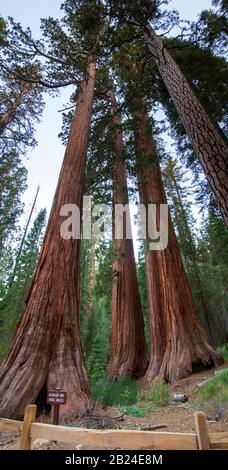 Yosemite Herbst 2019 Stockfoto