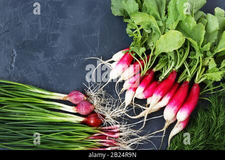 Frische Frühlingsgrüns: Rettich, grüne Zwiebeln, Knoblauch und Dill auf dunklem Hintergrund, Draufsicht Stockfoto