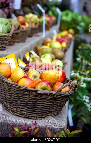 Ein Porträt eines Marktstalls, in dem Körbe voller biologisch angebauter Früchte zu sehen sind. Die meisten dieser Körbe sind mit viel gesundem und d gefüllt Stockfoto