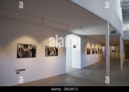 Fotoausstellung des spanischen Kinoregisseurs und Fotografen Carlos Saura im neuen Kulturzentrum von La Malagueta. Málaga, Spanien. Stockfoto