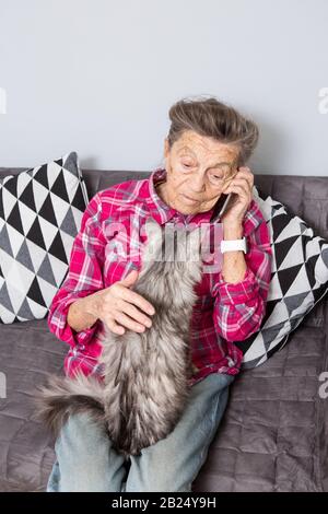 Thema alte Person verwendet die Technologie. Reifen zufrieden Freude Lächeln aktiv graue Haare Kaukasischen falten Frau sitzt home Wohnzimmer auf dem Sofa mit flauschigen Stockfoto