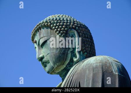 Der riesige Buddha aus Bronze (Daibutsu) im Kotoku-in-Tempel in Kamakura, Japan. Stockfoto