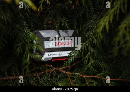 Paris, Frankreich - 23. Februar 2020: Blick in den Gartenbaum Arborvitae Thuya Occidental des neuen Pakets für professionelle Akkuschrauben-Zubehörteile von Bosch Pick Click Set 40 Stück Stockfoto