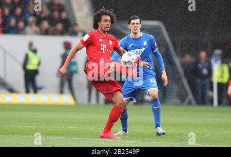 Hoffenheim, Deutschland. Februar 2020. Firo: 29.02.2020 Fußball, Fußball: 1. Bundesliga, Saison 2019/2020 TSG Hoffenheim - FC Bayern München München München München München München München 0: 6 FCB Josua Zirkzee, Einzelaktion weltweite Nutzung Credit: Dpa / Alamy Live News Stockfoto