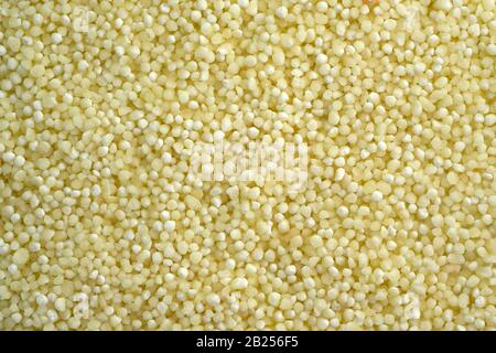 Sago Closeup Draufsicht Saga Palmenbaum Lebensmittel. Künstliche Kruppe von Tapioca-Sago aus einem Kassava-Busch. Stockfoto