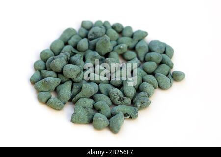 Teeoolong in Pellets. Chinesischer Tee Ginseng Ulun halbfermentiert. Tee mit natürlichem Ginseng Extraktor. Lumpen grünen Tees auf weißem Hintergrund Stockfoto