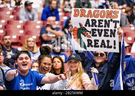 St. Louis, USA. Februar 2020. 29. Februar 2020: Ein Fan hält ein Zeichen über die Dragons in einem Spiel, in dem die Seattle Dragons die St. Louis Battlehawks besuchten. Abgehalten im Dome im America's Center in St. Credit: CAL Sport Media/Alamy Live News Stockfoto