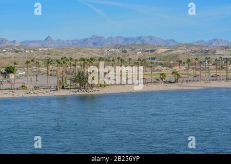 Davis Camp am Colorado River In Bullhead, Mohave County, Arizona USA Stockfoto