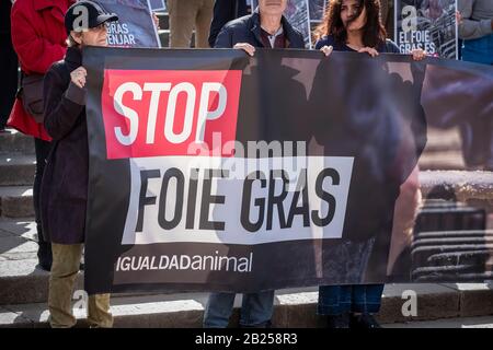 Barcelona, Spanien. Februar 2020. Tieraktivisten halten ein Banner, das die Produktion von Foie Gras während der Demonstration anprangert.Aktivisten der igualdadtian Organisation prangern die Produktion von Foie Gras in Spanien an. Mehr als 1.150.000 Enten und Gänse werden nach Angaben von Aktivisten jedes Jahr in Spanien der Zwangsfütterung ausgesetzt. Credit: Sopa Images Limited/Alamy Live News Stockfoto