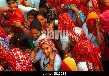 Indische Hochzeit in Rajasthan, Indien Stockfoto