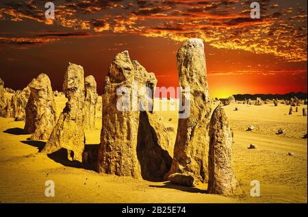 Pinnacles eine natürliche Attraktion von Western Australia im Nambung National Park. Es gibt erstaunliche Kalksteinstrukturen, die einige über 5 Meter h stehen Stockfoto