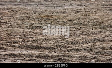 Sandstein-Felswand-Oberflächenschichten, die am Meer verwittert sind, ideal als natürlicher geologischer Hintergrund Stockfoto