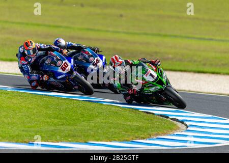 Melbourne, Australien, 1. März 2020. Kawasaki Racing Team Fahrer Jonathan Rea (1) führt während der Motul FIM Superbike Weltmeisterschaft, Phillip Island Circuit, Australien. Credit: Dave Hewison/Alamy Live News Stockfoto