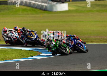 Melbourne, Australien, 1. März 2020. Kawasaki Racing Team Fahrer Jonathan Rea (1) führt während der Motul FIM Superbike Weltmeisterschaft, Phillip Island Circuit, Australien. Credit: Dave Hewison/Alamy Live News Stockfoto