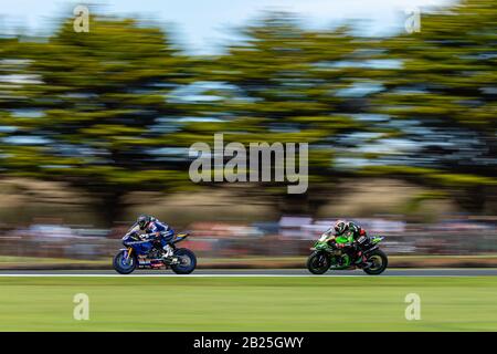 Melbourne, Australien, 1. März 2020. Kawasaki Racing Team-Fahrer Jonathan Rea (1) während der Motul FIM Superbike-Weltmeisterschaft, Phillip Island Circuit, Australien. Credit: Dave Hewison/Alamy Live News Stockfoto