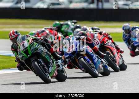 Melbourne, Australien, 1. März 2020. Kawasaki Racing Team Fahrer Jonathan Rea (1) führt während der Motul FIM Superbike Weltmeisterschaft, Phillip Island Circuit, Australien. Credit: Dave Hewison/Alamy Live News Stockfoto