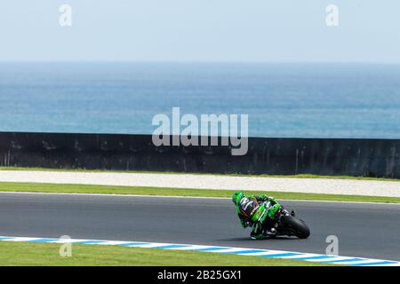 Melbourne, Australien, 1. März 2020. Kawasaki Racing Team-Fahrer Jonathan Rea (1) während der Motul FIM Superbike-Weltmeisterschaft, Phillip Island Circuit, Australien. Credit: Dave Hewison/Alamy Live News Stockfoto