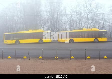 Gelbe Busse im Nebel. Gelbe Schulbusse in einem nebligen Dunst. Verschwommen. Stockfoto