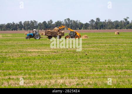 Einen landwirtschaftlichen Traktor Lader lasten Heuballen in einen Traktor Anhänger auf dem Feld Stockfoto