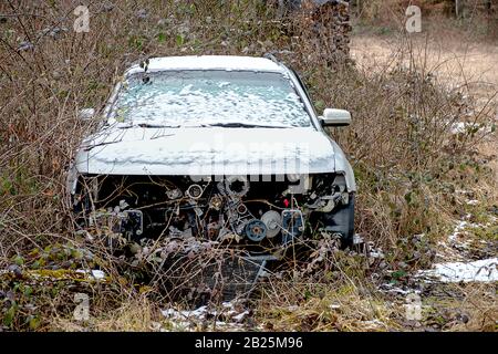 Grau zerbrochenes Auto im Unterholz geparkt, Blick auf den komplett zerlegten Motorraum Stockfoto