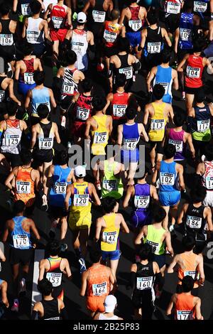 Tokio, Japan. März 2020. Die Läufer treten beim Tokio-Marathon 2020 in Tokio, Japan, am 1. März 2020 an. Kredit: Xinhua/Alamy Live News Stockfoto