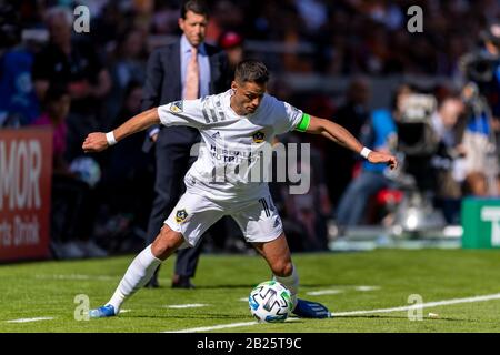 Houston, Texas, USA. Februar 2020. Los Angeles Galaxy Forward Javier Hernandez (14) während der ersten Hälfte des Spiels gegen Houston Dynamo im BBVA Stadium in Houston, Texas. Maria Lysaker/CSM/Alamy Live News Stockfoto