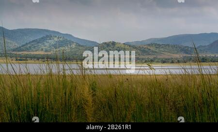 Südafrikas Savanne im Pilanesberger Nationalpark, Schöne Farben und Natur Stockfoto