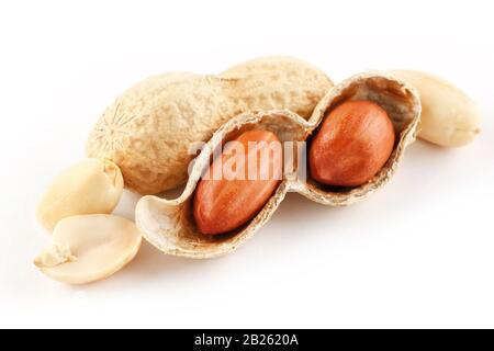 Erdnüsse schließen sich in der Schale und schälten sich auf einem weißen Hintergrund. Wachsendes Protein, Bohnen zum Kochen von Erdnüssen und Erdnussbutter Stockfoto