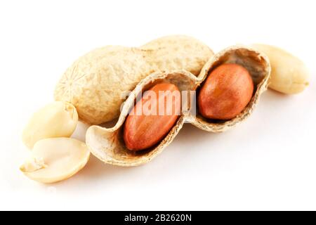 Erdnüsse schließen sich in der Schale und schälten sich auf einem weißen Hintergrund. Wachsendes Protein, Bohnen zum Kochen von Erdnüssen und Erdnussbutter Stockfoto