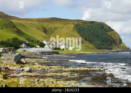 Runde in Norwegen vor der Küste bei Alesund. Auf dieser schönen Insel leben verschiedene Vögel. Stockfoto