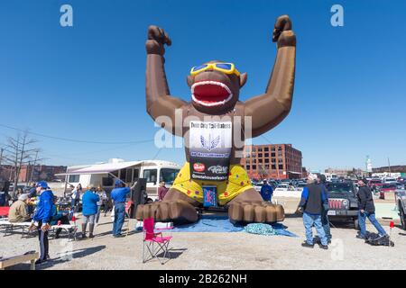 St. Louis. Februar 2020. St. Louis Battlehawks Fans taigieren vor dem St. louis Battlehawks vs Seattle Dragons XFL Fußballspiel, Samstag, 29. Februar 2020, in St. Louis, Mo., Die Battlehawks besiegten die Dragons 23-16. Kredit: European Sports Photographic Agency/Alamy Live News Stockfoto