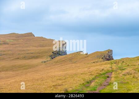 Latrabjarg an der Küste der Inselklippe, ein Nistplatz von Millionen atlantischer Puffins am Rand der Klippe Stockfoto