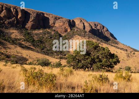 Felswände aus Waterberg, Marakele National Park, Waterberg, Südafrika Stockfoto