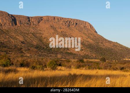 Felswände aus Waterberg, Marakele National Park, Waterberg, Südafrika Stockfoto