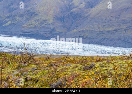 Vatnajoekull-Gletscher in Island bunt bewachsen vor Eis und Berghang Stockfoto