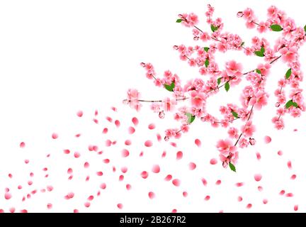 Sakura ist großartig. Kirschzweige mit zarten rosafarbenen Blumen, Blättern und Knospen. Im Wind fliegen Hochblätter. Vektorgrafiken Stock Vektor