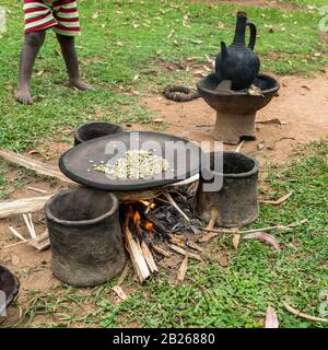 Braten von grünen, unreifen Kaffeebohnen auf einer flachen Pfanne in einem Dorf im Süden Äthiopiens Stockfoto