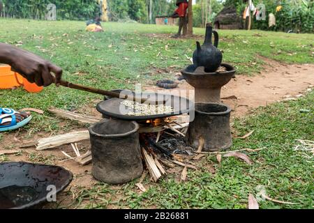 Braten von grünen, unreifen Kaffeebohnen auf einer flachen Pfanne in einem Dorf im Süden Äthiopiens Stockfoto