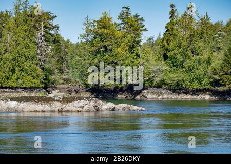 Blick von der Fähre auf Landschaft, Vancouver zum Swartz Bay Ferry Terminal, Vancouver Island British Columbia Kanada. Stockfoto