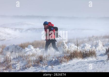 Teesdale, County Durham, Großbritannien. März 2020. Wetter in Großbritannien. Das Teesdale and Weardale Search and Mountain Rescue Team, der Polizei- und Schneepflugfahrer Dan McLaughlin kämpfte durch Tiefschnee und blizzard-bedingungen auf der Höhe von Storm Jorge, um 8 Straßenfahrer zu retten, darunter ein Kind, Die über Nacht in 4 Fahrzeugen auf einer abgelegenen Moorstrecke in der Nähe von Coldberry End in Upper Teesdale gefangen waren. Credit: David Forster/Alamy Live News Stockfoto