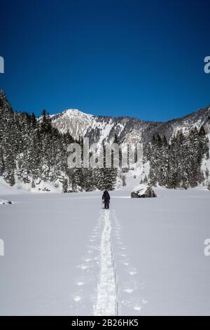 Eine Skitour durch das Vallée des Avals in der Nähe des französischen Alpenortes Courchevel nach einem frischen Schneefall an einem sonnigen Tag. Stockfoto